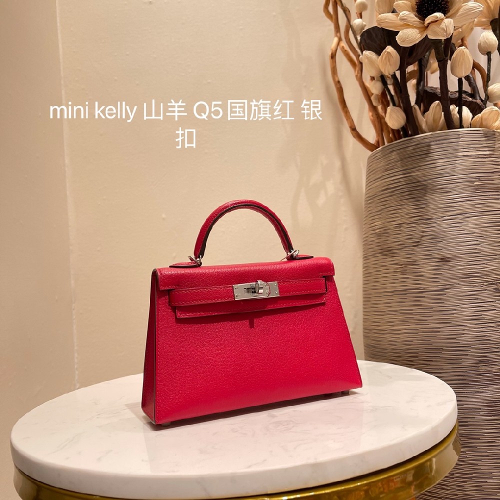 mini kelly 山羊